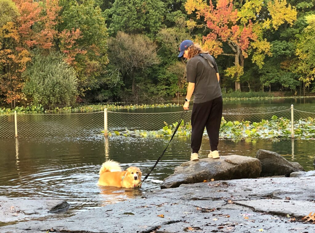 Prospect Park Oct 2025