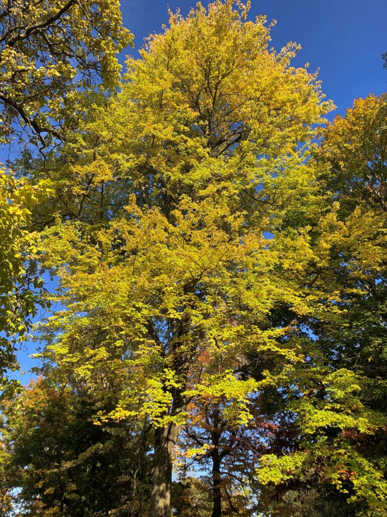Glen Miller Park, Richmond, Indiana