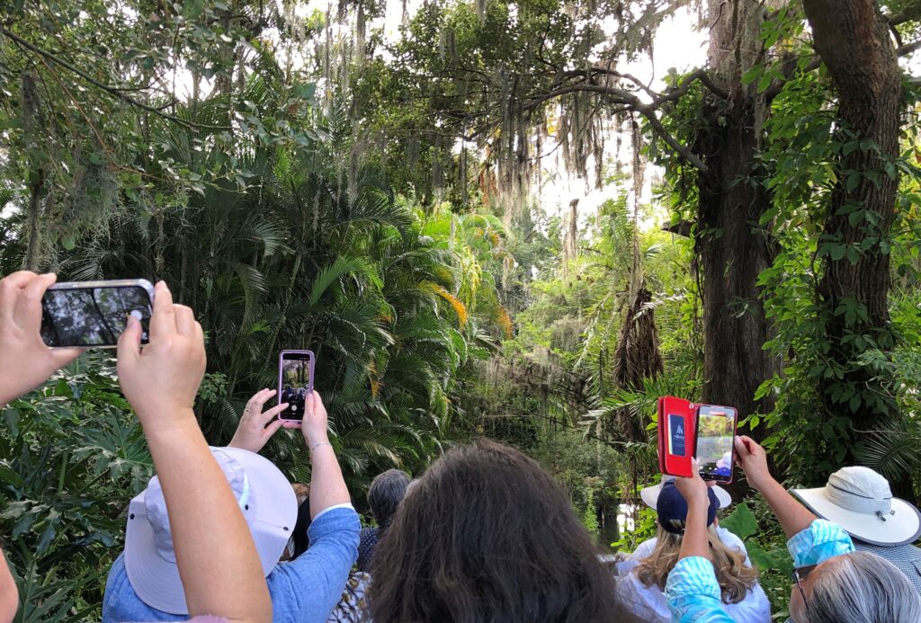 and offering up some detail about the history of the area, most of it unfamiliar. I didn’t know, for example, that Fred Rogers was an alumnus of Rollins College, which occupies a sizable chunk of the Lake Virginia shore. I also learned that the college, even in our age of grossly inflated higher-ed tuition, outclasses most others in its high cost.