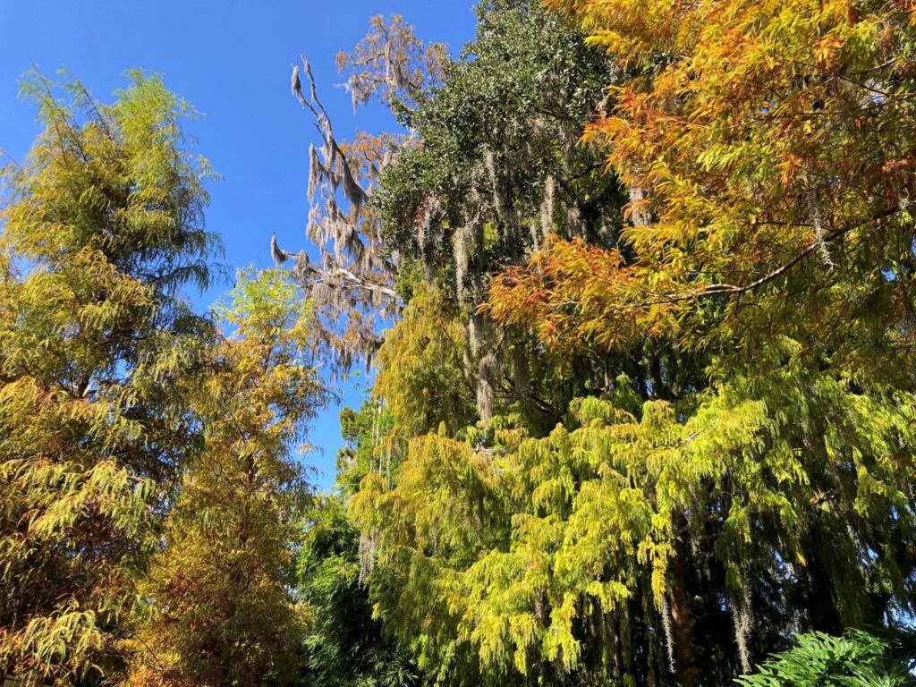 Winter Park, Fla. Dec 10, 2025