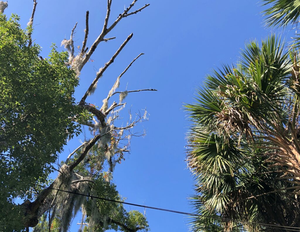 Winter Park, Fla. Dec 10, 2025